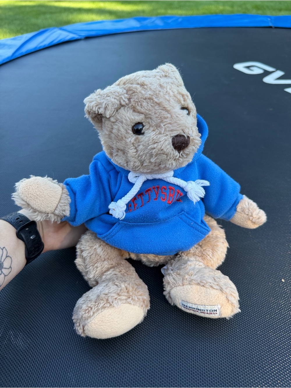 Tan Plush Teddy Bear in Blue Hoodie - Embroidered Gettysburg